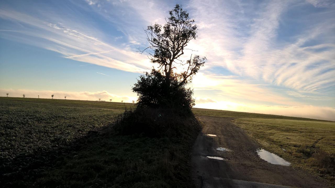 Apartmán Kammbaude Neuhermsdorf Exteriér fotografie